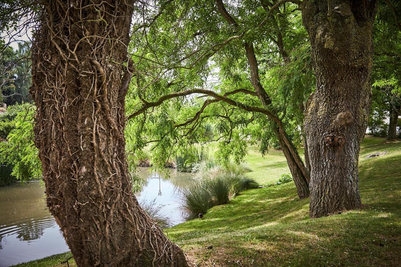 Les Jardins De L'Anjou Hotel Montjean-sur-Loire Bagian luar foto