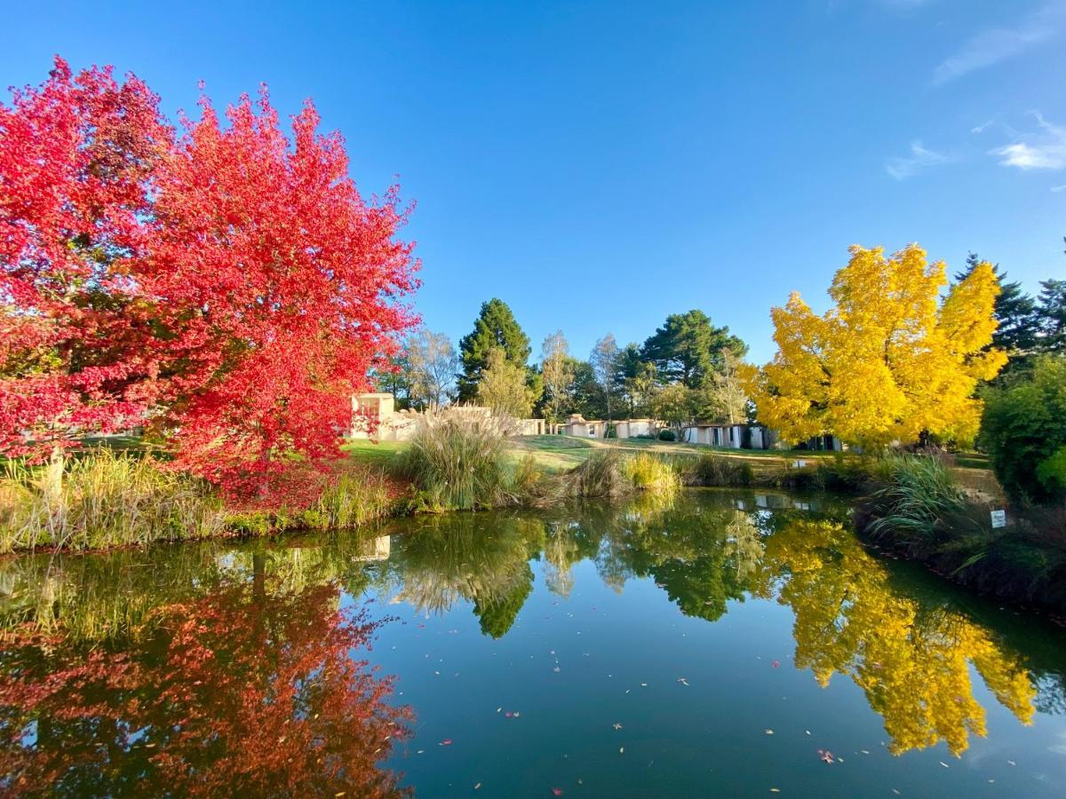 Les Jardins De L'Anjou Hotel Montjean-sur-Loire Bagian luar foto